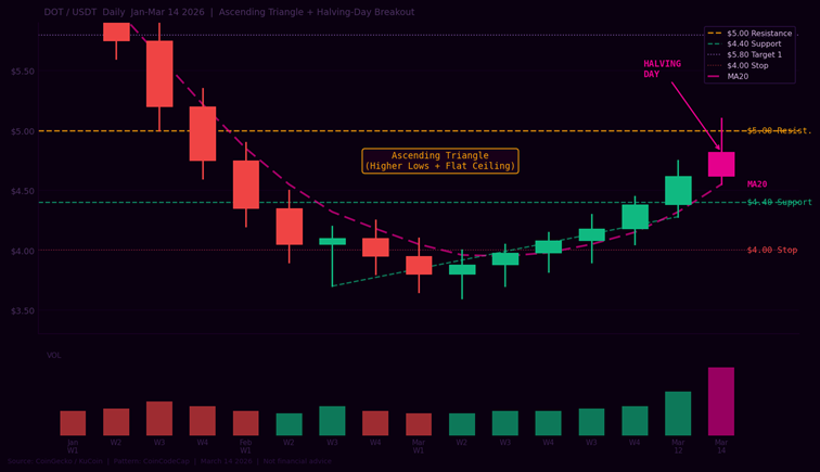 Polkadot Just Cut Its Inflation in Half