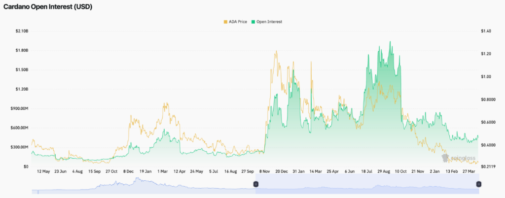 Cardano Open Interest (Source: Coinglass)