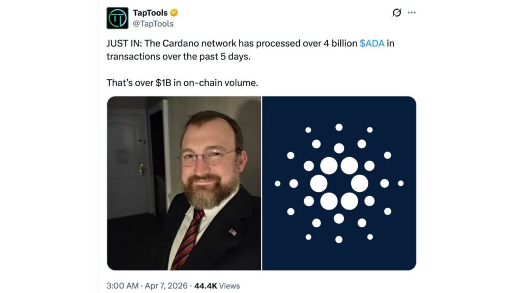 On-chain activity like this is a solid indicator of growing trust and usage.