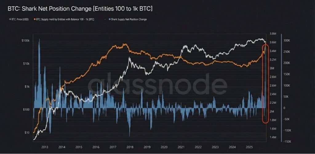 BTC: Shark Net Position Change