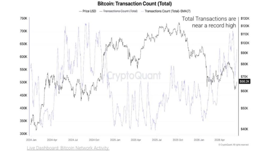 Bitcoin Total Transactions (Source: CryptoQuant)