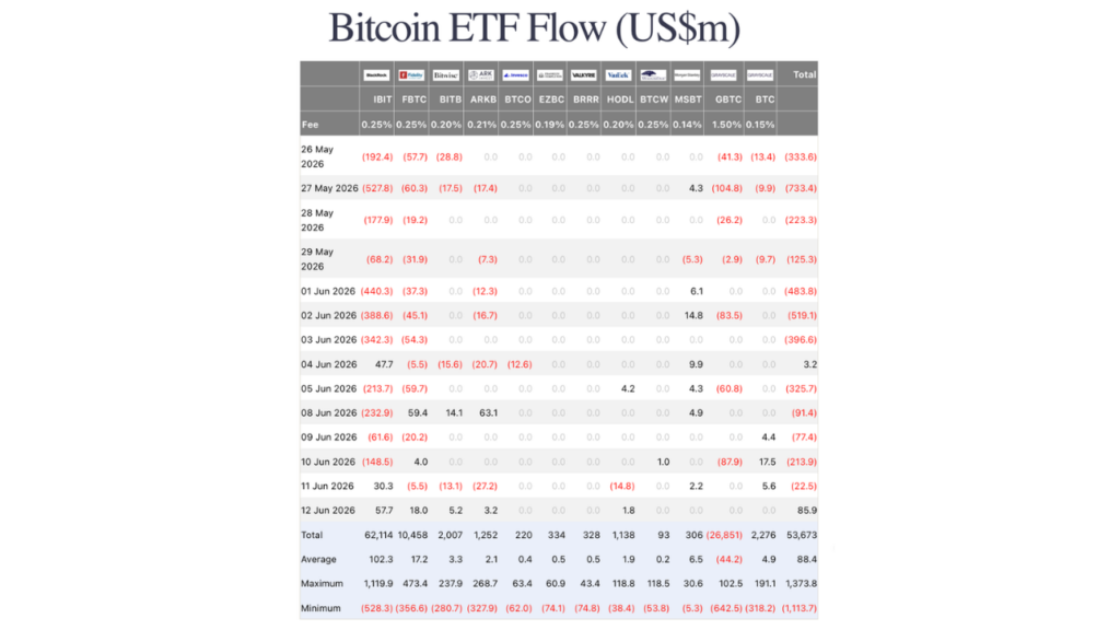 Bitcoin ETF Flow (Source: Farside Investors)