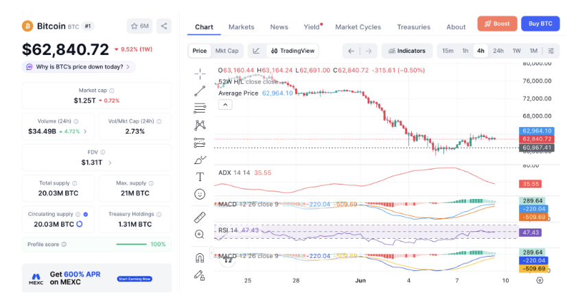Bitcoin (BTC) Price Performance (Source: CoinMarketCap)